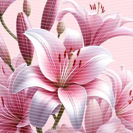 20oz integrate-EJ-9084